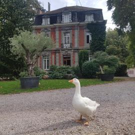 Château Lambert Moulinsart Hotel, shuttle airport, long term parking, snooker, large terrasse, dinner, breakfast, hotel v destinácii Charleroi