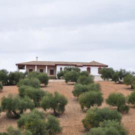 Casa Rural la Serrana, hotel a La Carlota