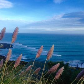Seasidestyle, hotel u gradu 'Raglan'