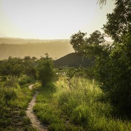 Miseni Retreat, hotell i Bagamoyo