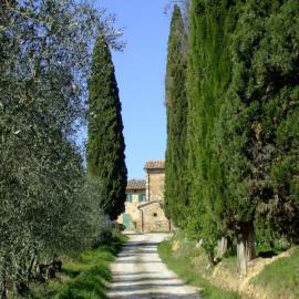 Podere Calcinaia