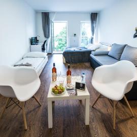 Haas Apartments Downtown with Parking, hotel in Brno