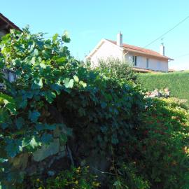 325 Route du Fourou, hotel em Yzosse