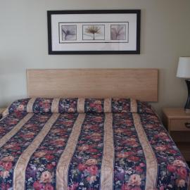 Budget Inn, hotel u gradu El Serito