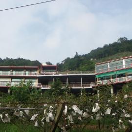 King Villa, hotel in Heping