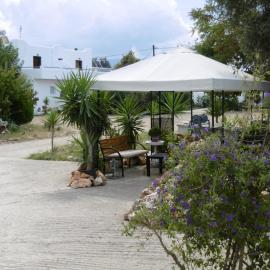 Skyros Panorama Studios, ξενοδοχείο στη Σκύρο