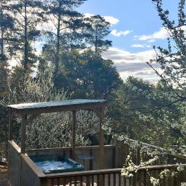 Sutton Spring Art Retreats, hotel in Daylesford