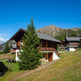 Chalet Bambi
