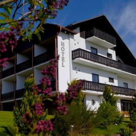 Hotel Seeschlößchen, hotel din Waldeck
