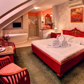 BIRDIE Pension & Wellness, hotel en Pardubice