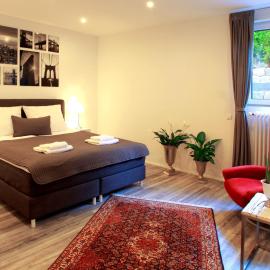 Ferienwohnung Roxana - am Bodensee, отель в Фридрихсхафене