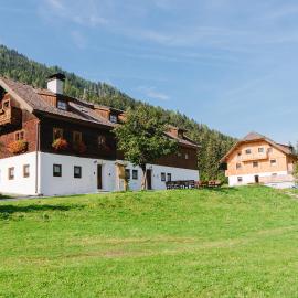 Ferienparadies Wiesenbauer, hotel in Sankt Michael im Lungau
