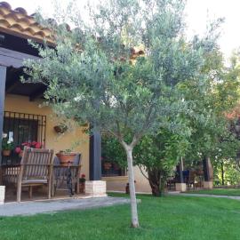Casas Rurales Cortijo Bellavista, hotell i Alcaraz