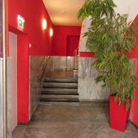 Ricks City Hotel, hotel a Trier