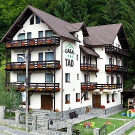 Casa Tad、ブシュテニのホテル