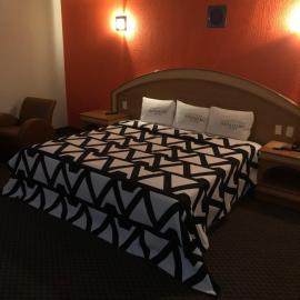 Hotel Puerta del Sol, hotel em Toluca