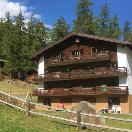 Apartments Carmena, hotel in Saas-Grund