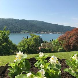 Giuseppe B&B, hotell i Sarnico