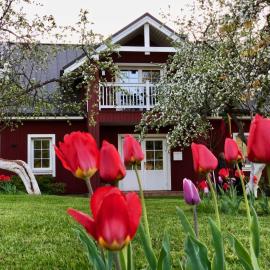 Villa Sofia Boutique Trakai – hotel w mieście Troki
