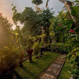 Ubud Wins Bungalow