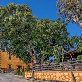 Hotel Rural LIVVO Maipez, מלון בלאס פאלמס דה גראן קנאריה