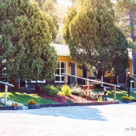 The Pines Country Inn, hotel in Newcastle