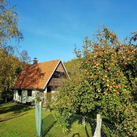 Chalet Tomljenović, hotel in Smiljan