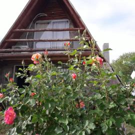 Cabañas Laukan, hotel u gradu San Agustin de Valje Fertil