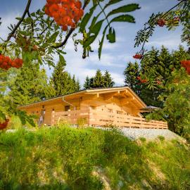Das Wistlberg Wohlfühlchalet, hotel din Mauth