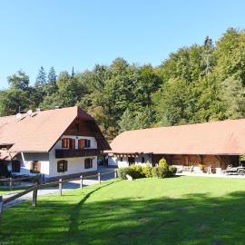 Domačija Šeruga Countryside hotel, hotelli kohteessa Novo Mesto