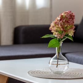 Violetos Lux Apartamentai2, hotel u gradu Druskininkaj