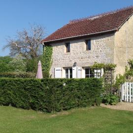 Les Roses Trémières