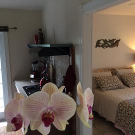 Mediteranean style Ohana Rental / Garden Bungalow in Pahoa