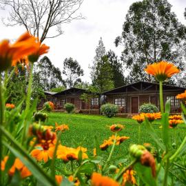 Hotel Las Azaleas, hotel in Jardín América