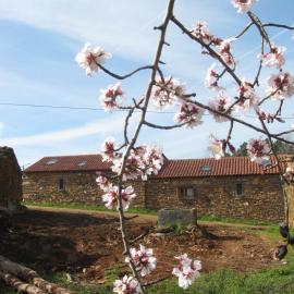 Quinta dos Baldo, hotel in Freixo de Espada à Cinta