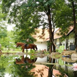 Hunor Lovastanya, Hotel in Kunbaracs