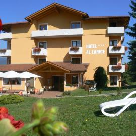 Hotel & Appartamenti Al Larice – hotel w mieście Ronzone