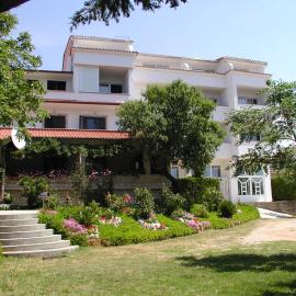 MIRKO DIVING CENTER