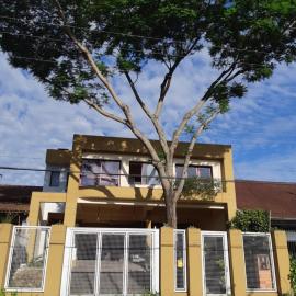 Hostel Casa Grande, hotel in Porto Alegre
