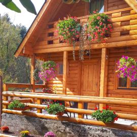 Brvnara Borovik, hotel in Cetinje
