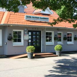 Hotel Gasthof Handewitt, hotel in Handewitt