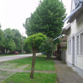 Apartments-Mini-Hotel, khách sạn ở Csongrád