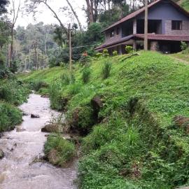 Kwality Estate, hotel a Madikeri