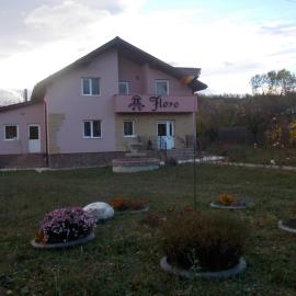Casa Floro, hotel v destinácii Comăneşti