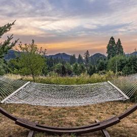 Carson Ridge Luxury Cabins、Carsonのホテル