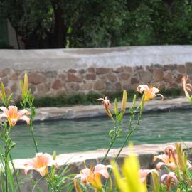 Hillside Farm, hotel in Springfontein