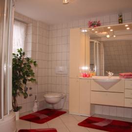 Harz-Sonne, hotel a Altenau
