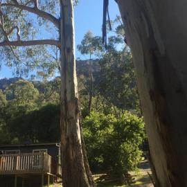 Grampians Nest، فندق في هولز غاب