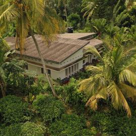 Sinharaja Tranquil Homestay, hotel in Deniyaya