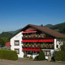 Haus Bergwiese, hotel in Baiersbronn